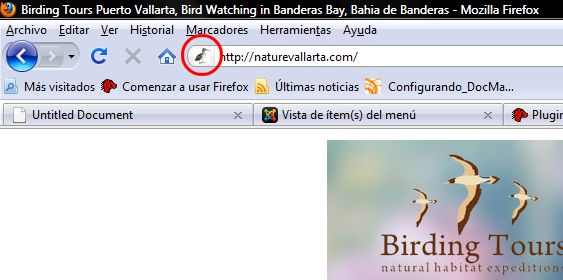 pelicanoyes
